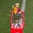 Gerrard33